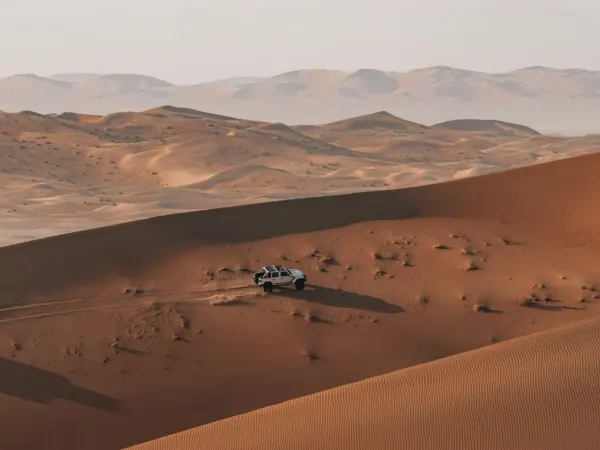 Red Dunes Desert Safari with BBQ Dinner & Shows