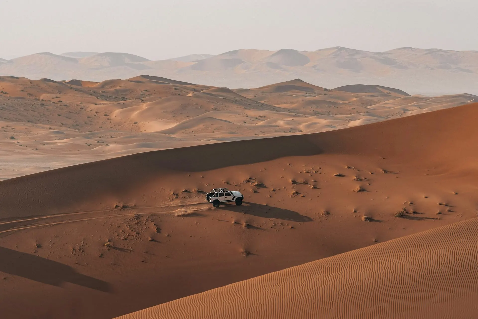 Red Dunes Desert Safari with BBQ Dinner & Shows