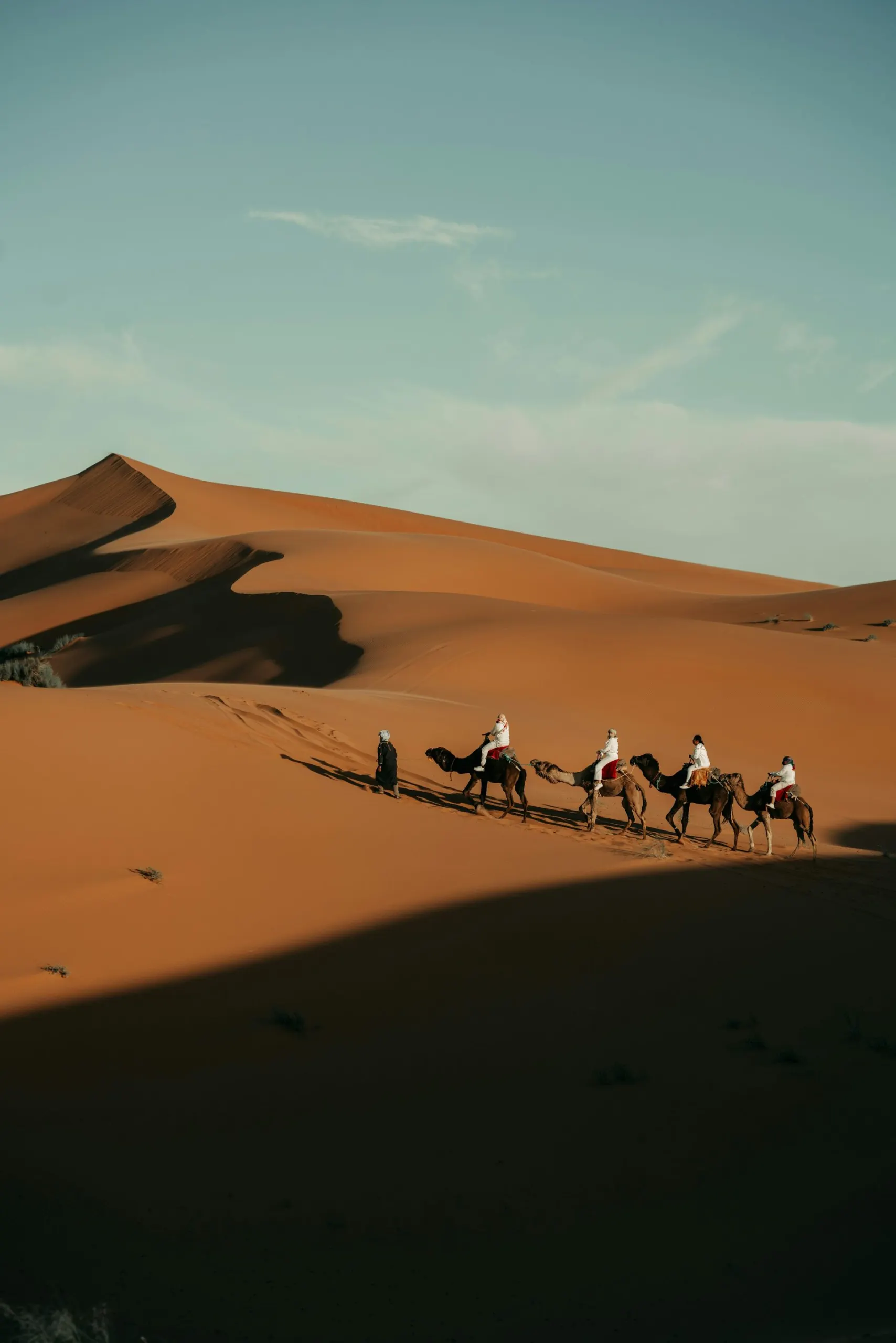 Red Dunes Desert Safari with BBQ Dinner & Shows