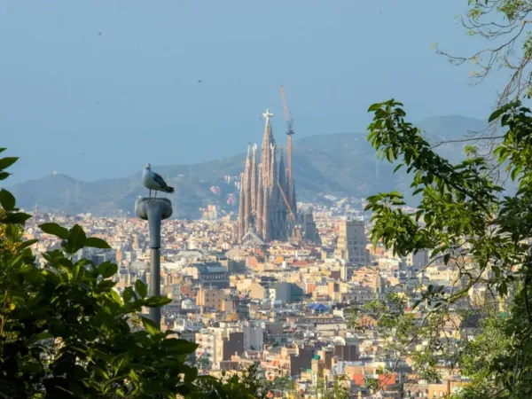 Sagrada Família Guided Tour with Tower Access