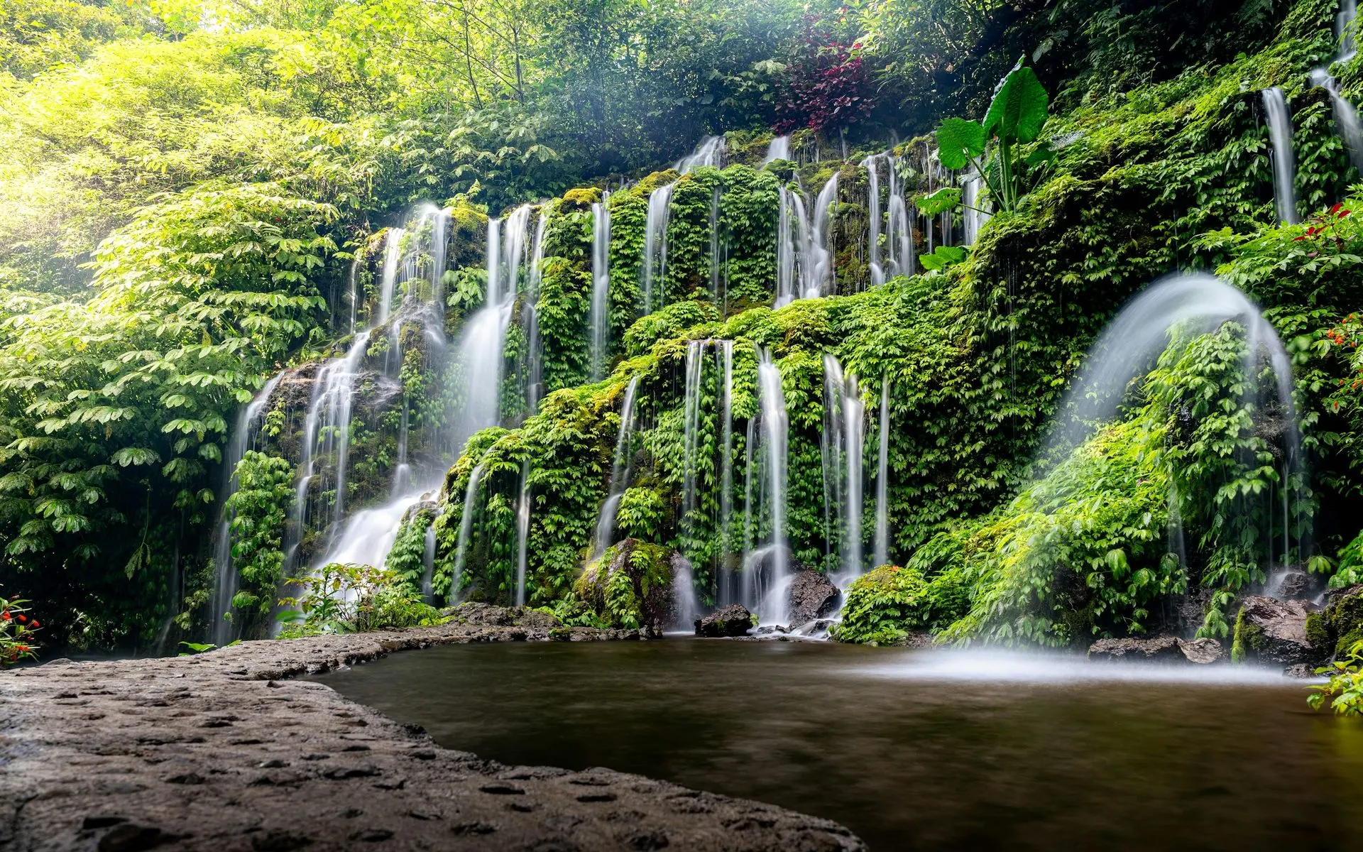 Ubud Rice Terraces, Temples & Waterfalls Private Tour